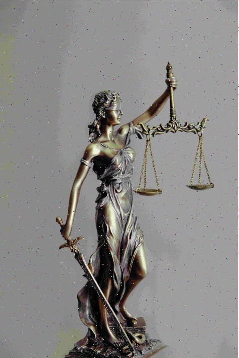 संपत्ति विवाद