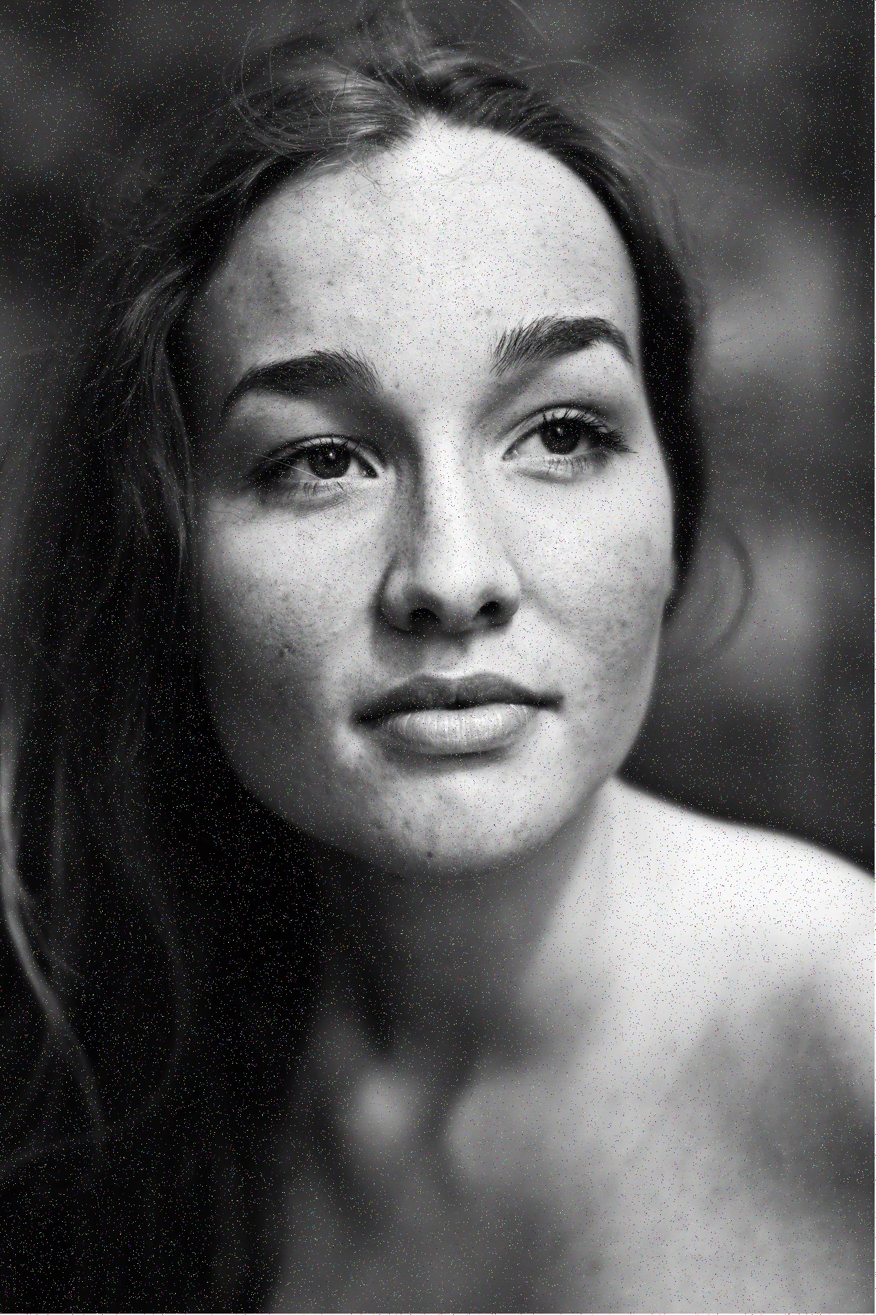 मुख्य वकील